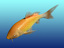 3d rigged gold fish