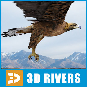 golden eagle 3d model