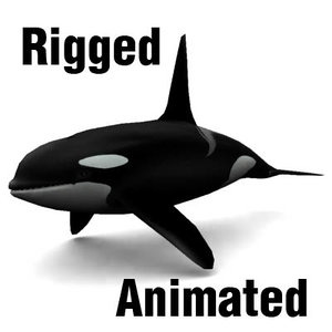 killer whale shark 3d model
