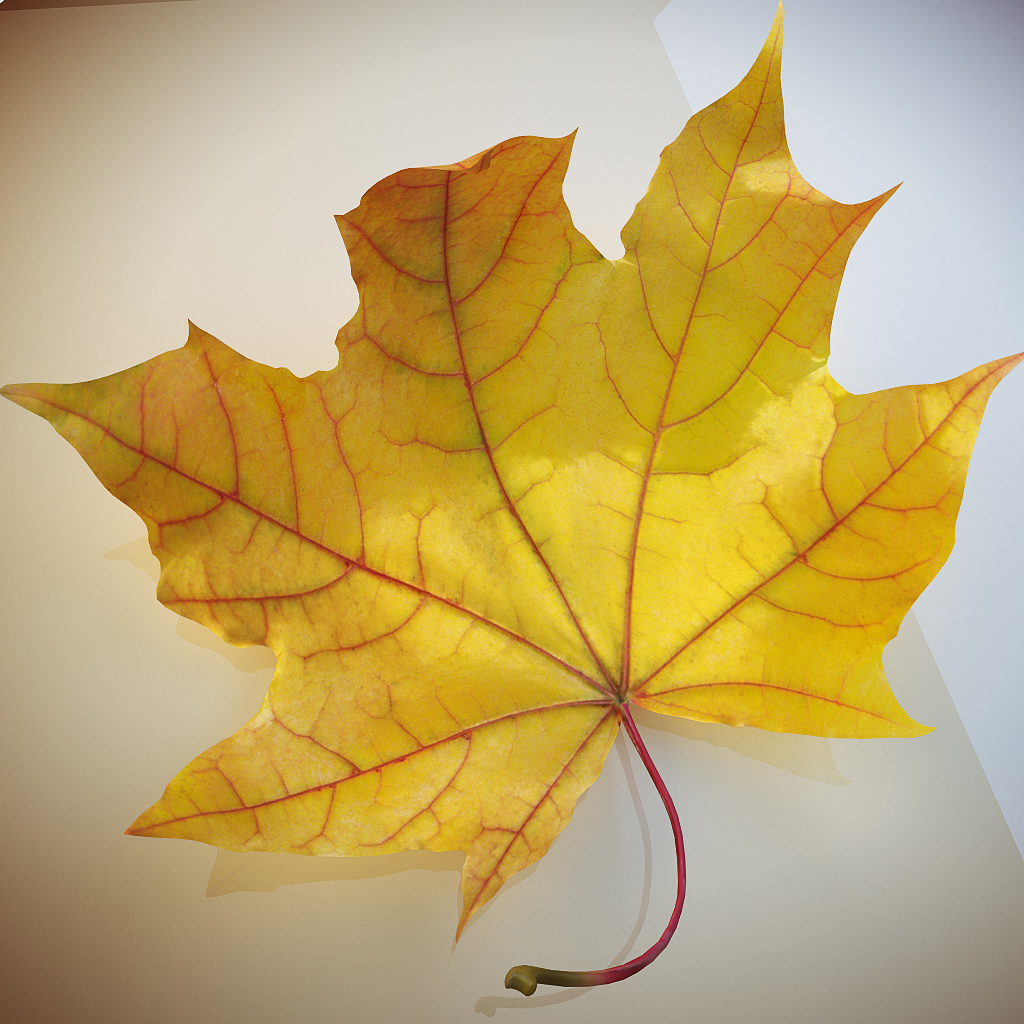 3d Model Realistic Autumn Leaves Leaf