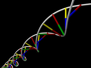 dna double helix strand 3d dxf