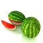 watermelon max