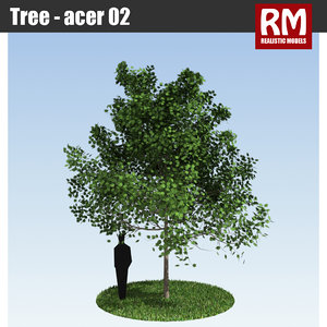 max tree -