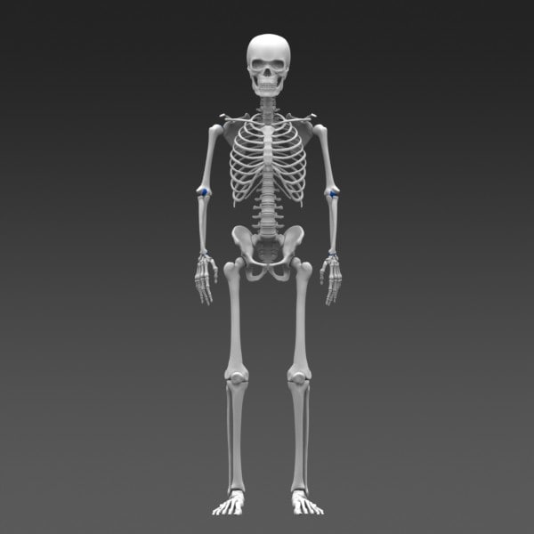 poseable 3d model online