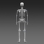 3d poseable model