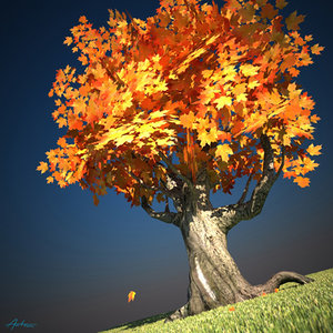 maple tree 3d model