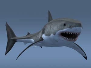 3ds max great white shark
