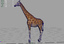 3ds max giraffe