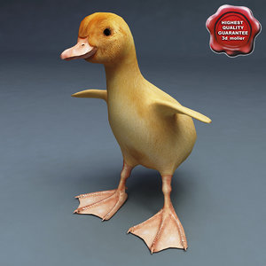 duckling static 3d model