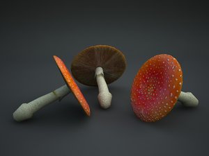red amanita mushroom 3d model