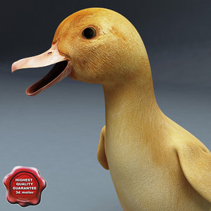 3ds max duckling pose2