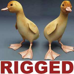 max duckling rigged