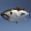 3d fishs pike sturgeon
