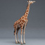giraffe modelled 3d 3ds