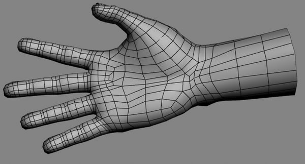 realistic hand 3d model