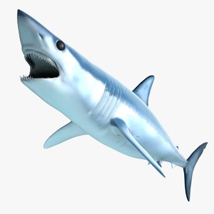 maya shark animation