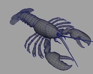 3d lobster