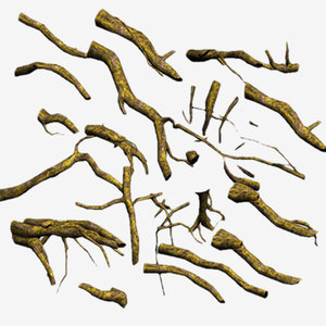 3d root drift driftwood