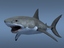 shark great white 3d model