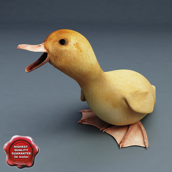 3d小鸭模型