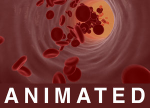 maya red blood cells vessel