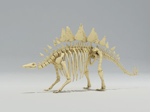 stegosaurus skeleton 3ds