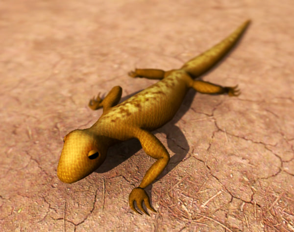3d gecko lizard