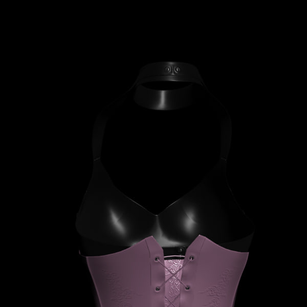 3d sexy corset