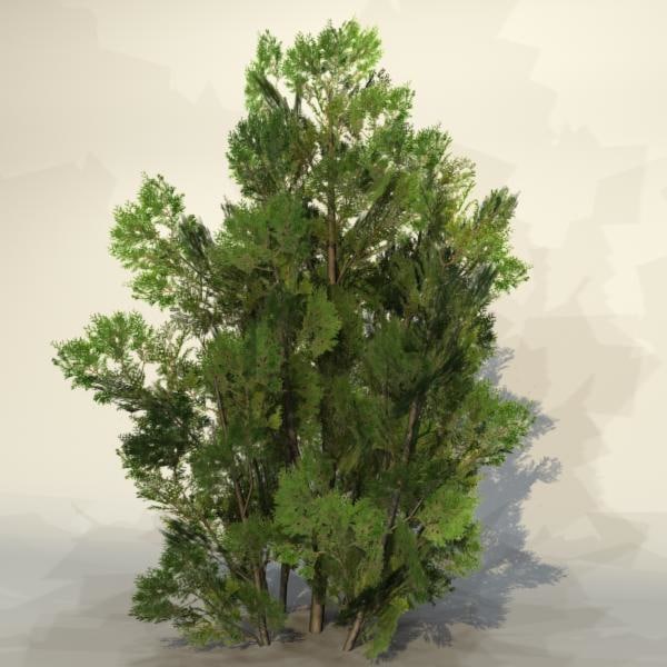 3d pc bush model