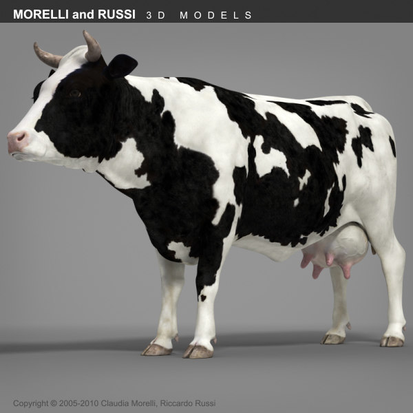 morelli cow 3d obj