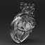 human heart solidworks 3d model