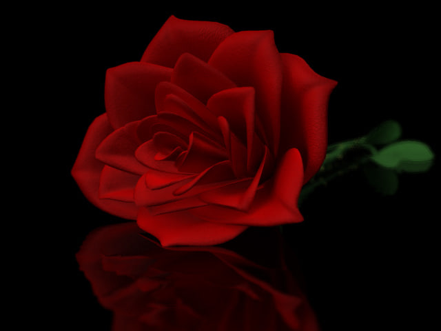 3d rose