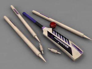 3d model cricket sport bat