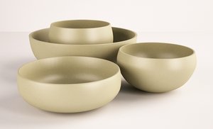 bowls vera wang leaf max