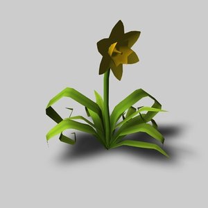 daffodil flower dxf