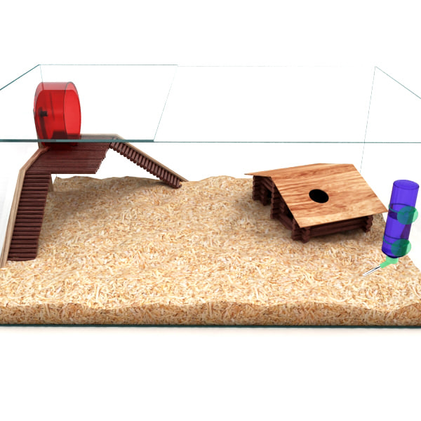 Illustration of Lab Hamster Glass Habitat Design Experts