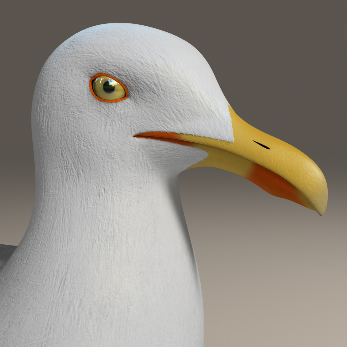  seagull  rigged 3d  max