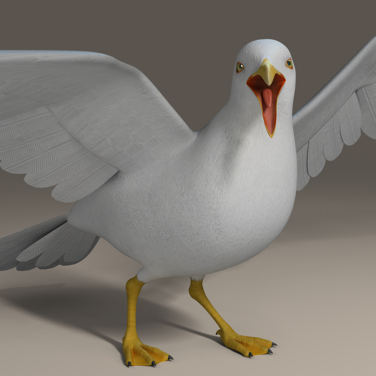  seagull  rigged 3d  max