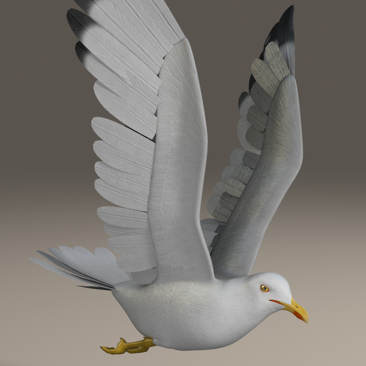 sculpt seagull zbrush