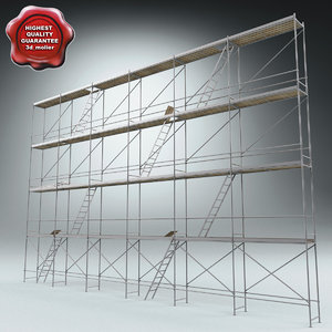 3d scaffold modelled model