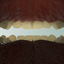 realistic teeth gums tongue max