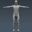 human male body muscular 3d 3ds