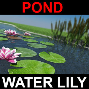 pond grass 3d max