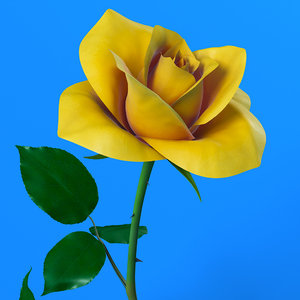 3d model rose flower