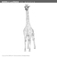 giraffe c4d