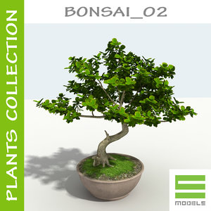 3d bonsai s model