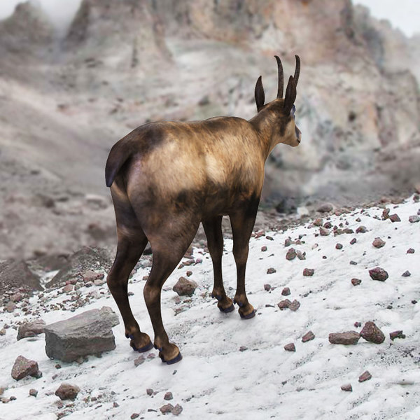 3ds chamois mountains european