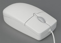 Computer Mouse