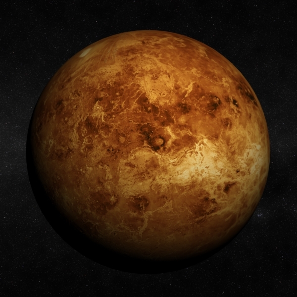 3d model venus