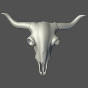 animal skull 3d model